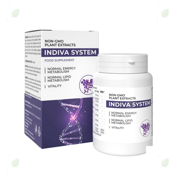 InDiva System